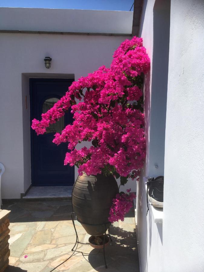 Aegean View Kochilos